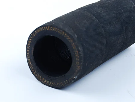 A black steam hose on a white background.
